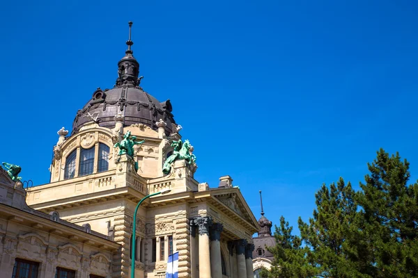 Szechenyi Furdo in Budapest — Stock Photo, Image